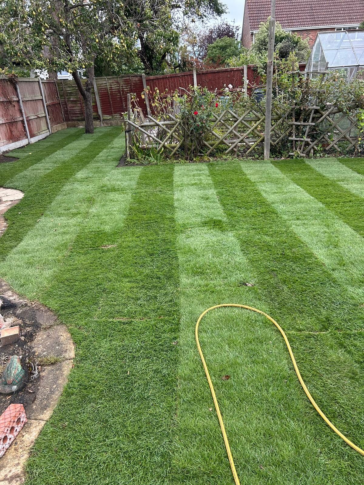 Lawn Clear Up